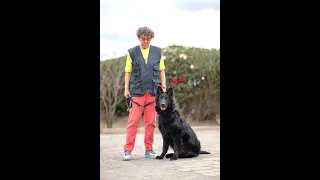 How My love for German Shepherds long coats is unquenchable.Kesuma Gems(Dog tv Kenya episode 15)