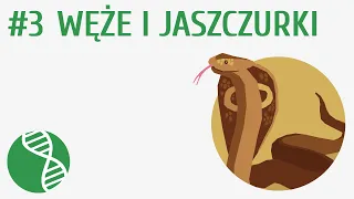 Węże i jaszczurki #3 [ Gady ]