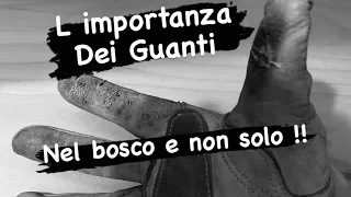 L importanza dei guanti nel bosco e non solo !!