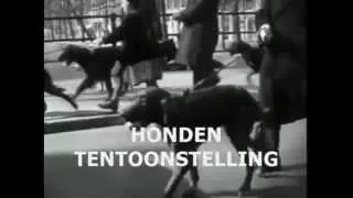 1934: Wandeling door Oud Amsterdam op weg naar de Hondenbeurs/Hondententoonstelling  in de Oude RAI