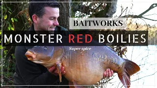 Carp fishing - Monster Red boilies