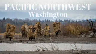Duck Hunting in the PNW - Washington