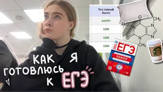 учусь по 10 ЧАСОВ в день ˖˚˳ЕГЭ version | химия & биология