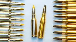 Best Long Range Calibers in 2023