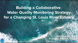 Collaborative Water Quality Monitoring for a Changing St. Louis River Estuary | Sneak Peek