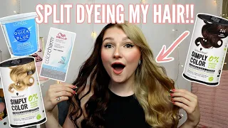 SPLIT DYEING MY HAIR AT HOME!