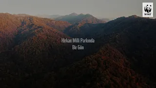 Hirkan Milli Parkında Bir Gün / 4K