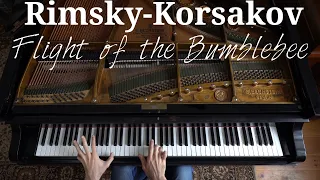 Flight of the Bumblebee by Rimsky-Korsakov | Stanislav Stanchev