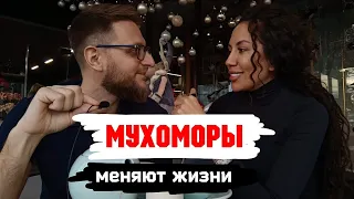 Как мухоморы меняют жизни людей