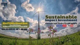 Sustainable Impact Investment