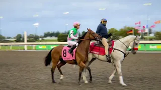 Gulfstream Park Replay Show | March 10, 2024