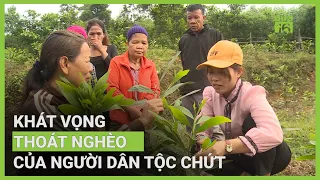 Khát vọng thoát nghèo của người Chứt | VTC16