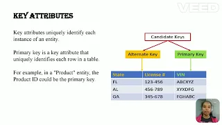 Introduction to Entity, attributes with example