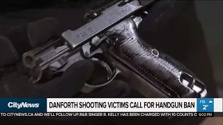 Danforth shooting victims call for handgun ban