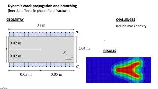 Dynamic phase-field fracture in ABAQUS