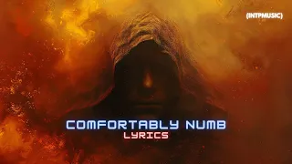 Pink Floyd - Comfortably Numb (Lyrics)