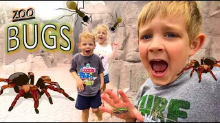 BUG HUNT at the ZOO!! Spiders, GRASSHOPPER, Fire Ants, WORMS, Snails & MORE for KIDS!!