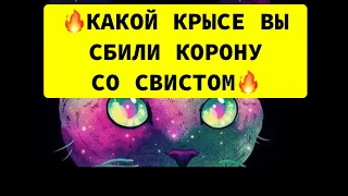 🔥КАКОЙ КРЫСЕ ВЫ СБИЛИ КОРОНУ СО СВИСТОМ⁉️⁉️⁉️🔥