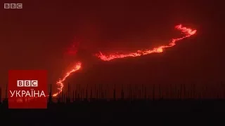 Лісові пожежі в Каліфорнії: десятки загиблих і поранених
