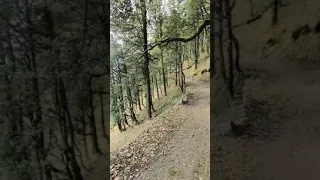 Trek to Serolsar Lake inTirthan Valley , Jalori Pass.