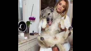 Ольга Орлова и её верные друзья!!!🐶🐕🐩