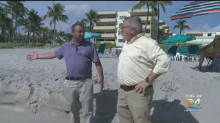 South Florida Beaches Are "Critically Eroded," Warns Environmental Agency