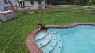 Talia Time - a puppers in the pool