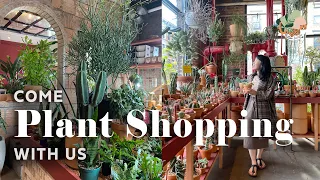 Brooklyn Must-See Plant Shops Tour - NYC House Plant Shopping 2021