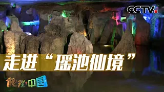 《地理·中国》 20240122 奇幻洞穴10·石头丛林|CCTV科教