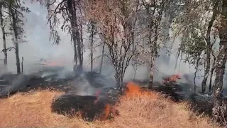 Still Fire destroys homes