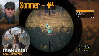 Sommer - #4 theHunter Call of the Wild