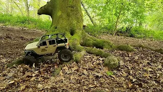 Desert Rubicon Wrangler 2s( ROOT MASTER pt2 slo-mo) 🪵🍂🪵🍃🪵🍃🪵