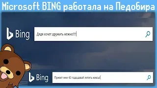 Microsoft BING работала на Педобира