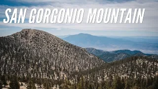 Hiking San Gorgonio Peak via the Vivian Creek Trail