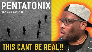 First time hearing Pentatonix - Hallelujah (Official Video) | Reaction