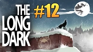 The Long Dark - Проблемы Выживания #12