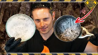 Growing NITRATE Crystals For Gunpowder! TKOR Dives Into How To Make Gunpowder With Nitrite and More!