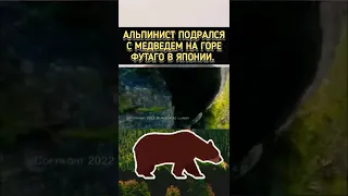 Альпинист Подрался с Медведем на Горе Футаго в Японии.