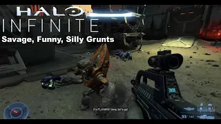 Halo Infinite Grunts are Savage, Funny and silly - Part 1