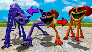 EVOLUTION OF BUT CATNAP IS DOGDAY POPPY PLAYTIME CHAPTER 3 In Garry's Mod! SIZE COMPARISON!