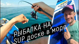 Ловим Морского Дракона и ставриду на сап доске в Черном море.