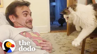 Guy Falls Into "Toxic Love" With His Stalker Foster Cat | The Dodo