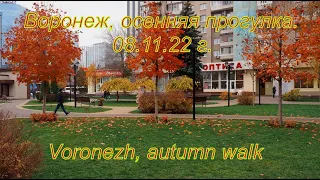 Воронеж, осенняя прогулка  08 11 22 г Voronezh, autumn walk