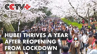 Hubei Province Thrives a Year after Reopening from COVID-19 Lockdown