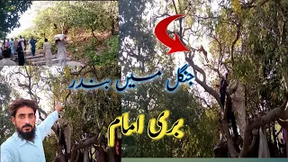 The Chilla Gah | Of Sarkar Bari Imam Drbar Of Pakistan Usmania vlog