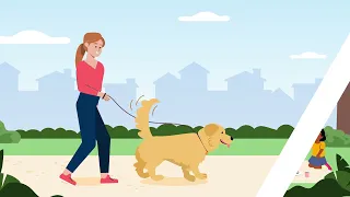 Pet Responsibility | Your pet is your responsibility