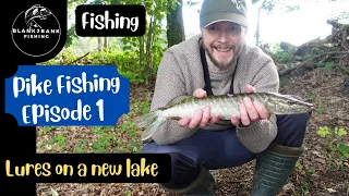 Pike Fishing October 2021. Lures. Savage gear line through trout