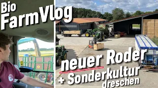 Volle Pulle Ernte🌾🥔 Unser neuer 2 Reiher im Einsatz & Emmer dreschen / Vlog 36