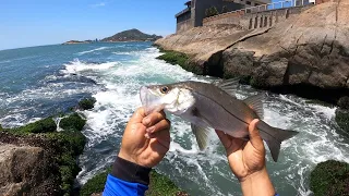 ESSA ISCA DEIXA OS PEIXES MALUCOOOS | Pescaria de Costão com isca viva