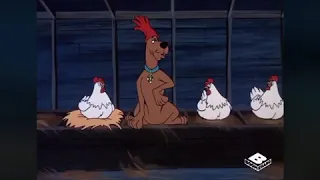 SCOOBY DOO SHORTS “Scooby Doo & Shaggy Run From The Monster With Help From Chickens”